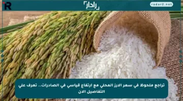 تراجع ملحوظ في سعر الأرز المحلي مع ارتفاع قياسي في الصادرات.. تعرف على التفاصيل الآن